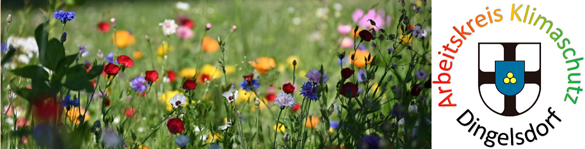 Arbeitskreis Klimaschutz und Biodiversität Dingelsdorf / Oberdorf